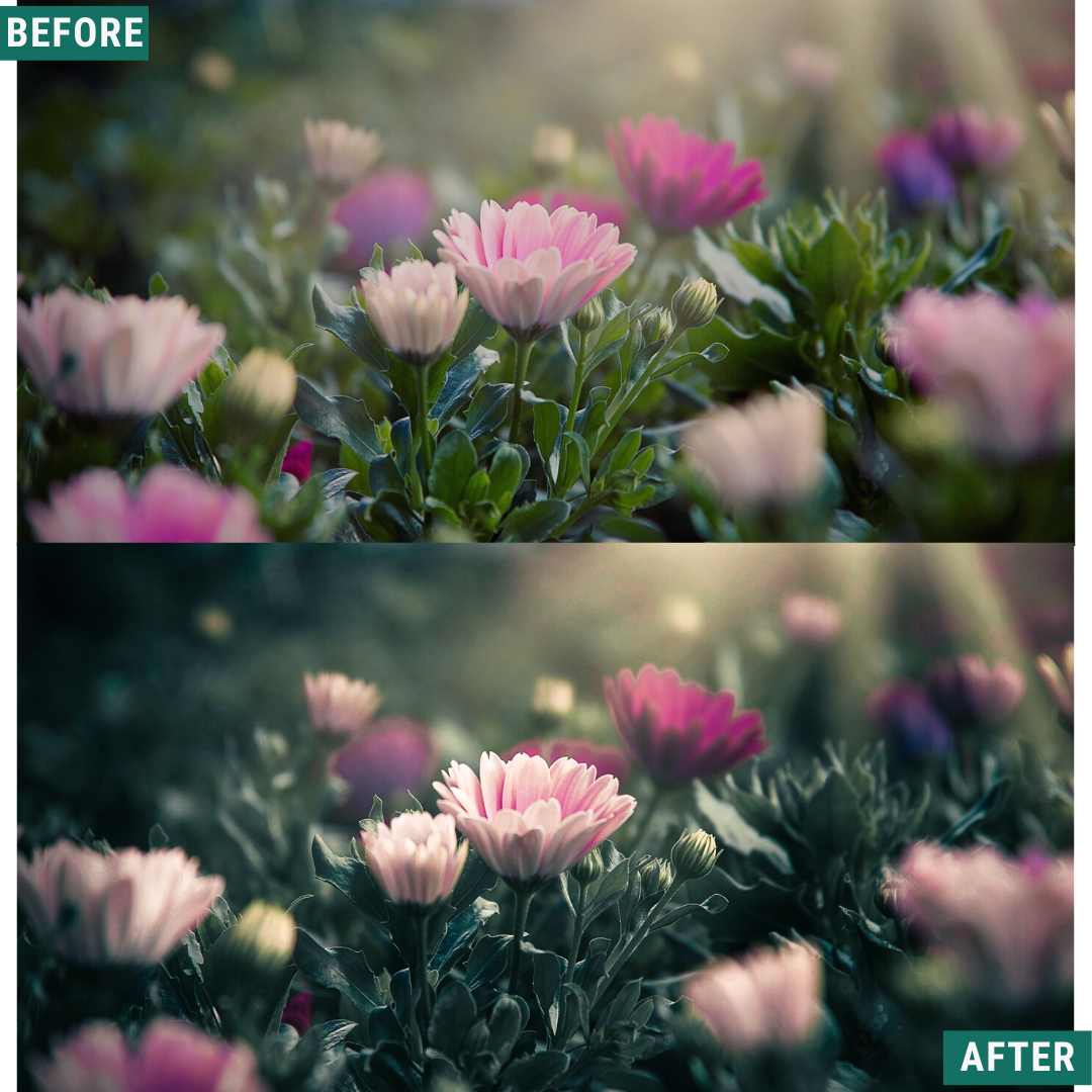 Moody Land LIMITED Lightroom Presets Pack