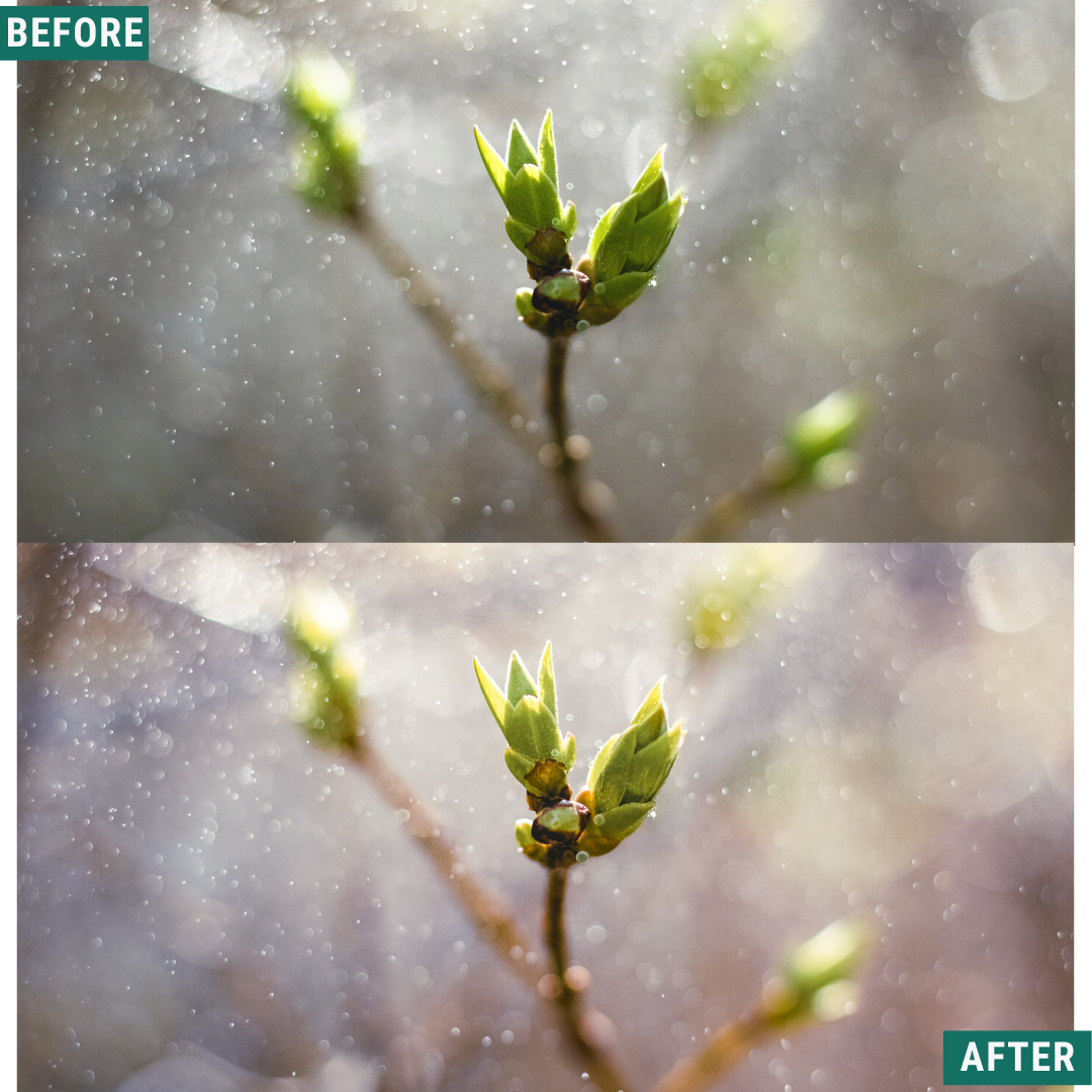 Misty Tones LIMITED Lightroom Presets Pack