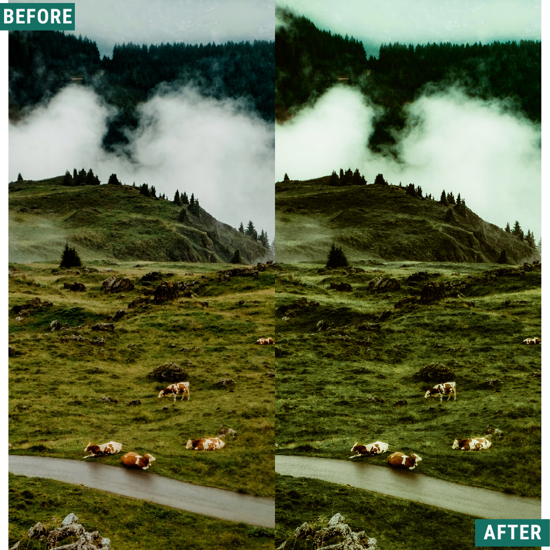 Dark Green LIMITIERTES Lightroom-Presets-Paket