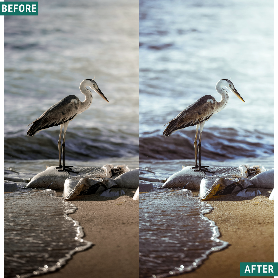 Silver Tones LIMITED Lightroom Presets Pack