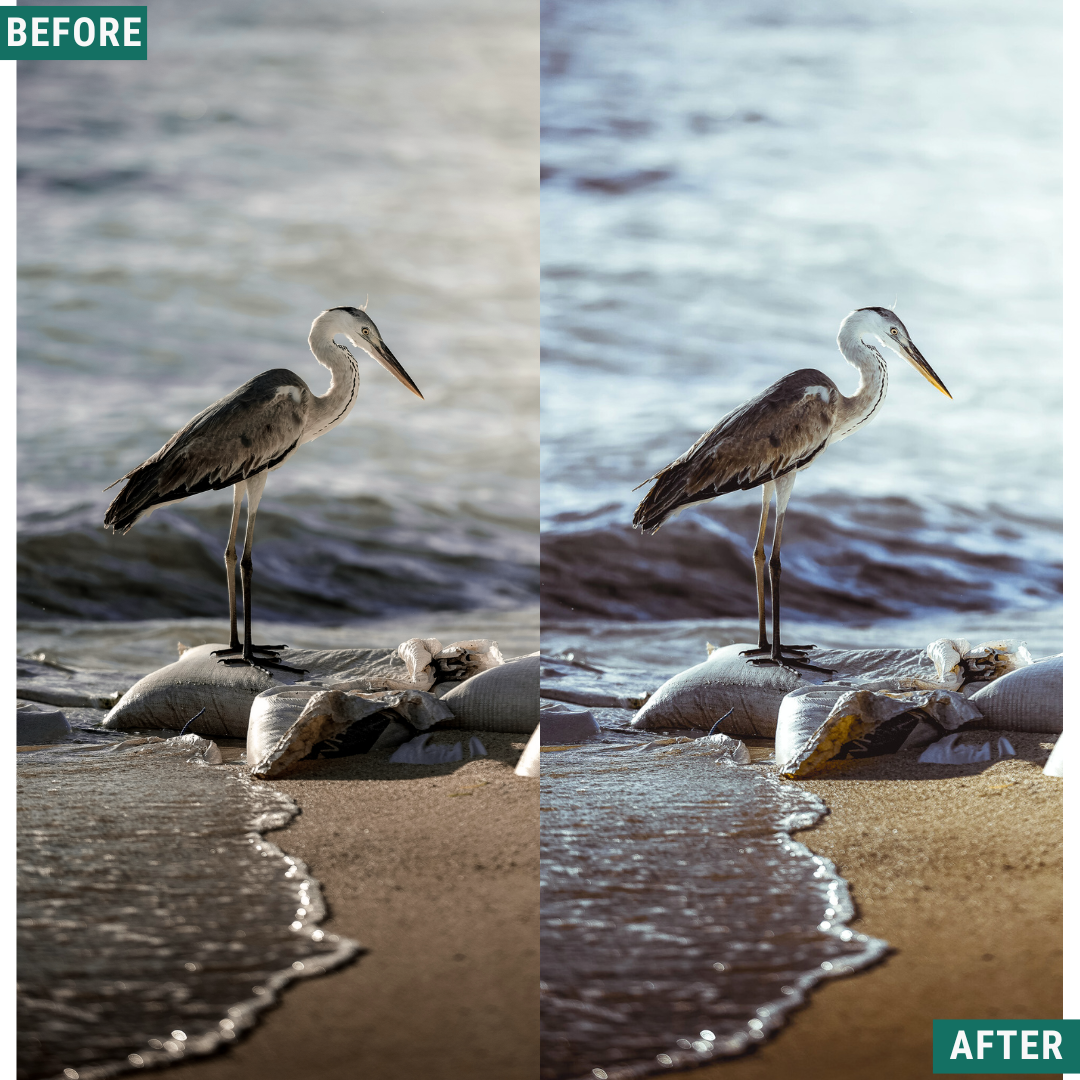 Silver Tones Capture One & LUT Presets Pack
