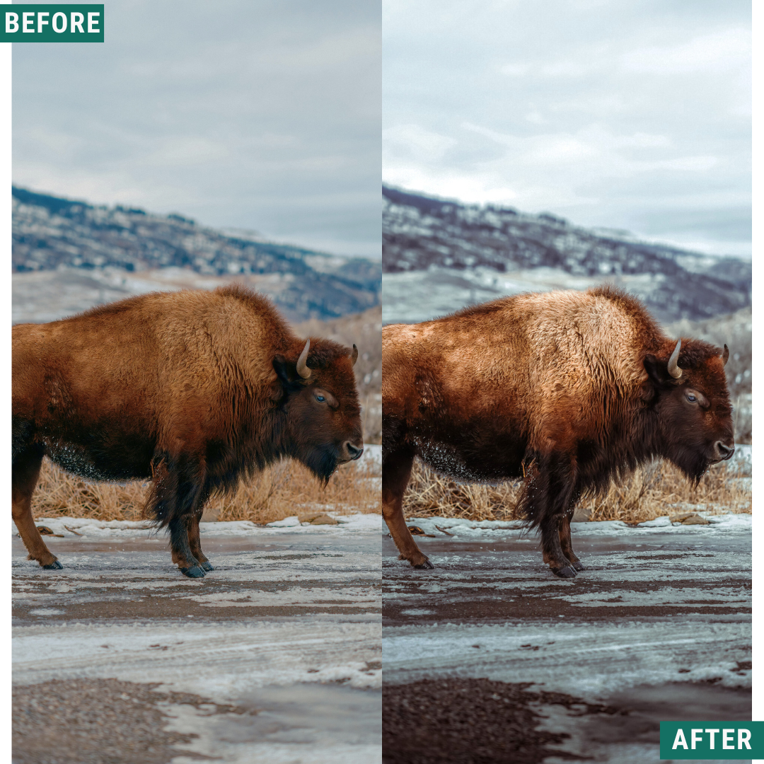 Silver Tones Capture One & LUT Presets Pack