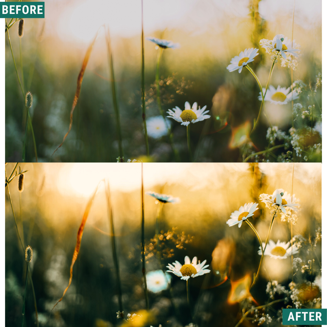 Spring Glow LIMITED Lightroom Presets Pack