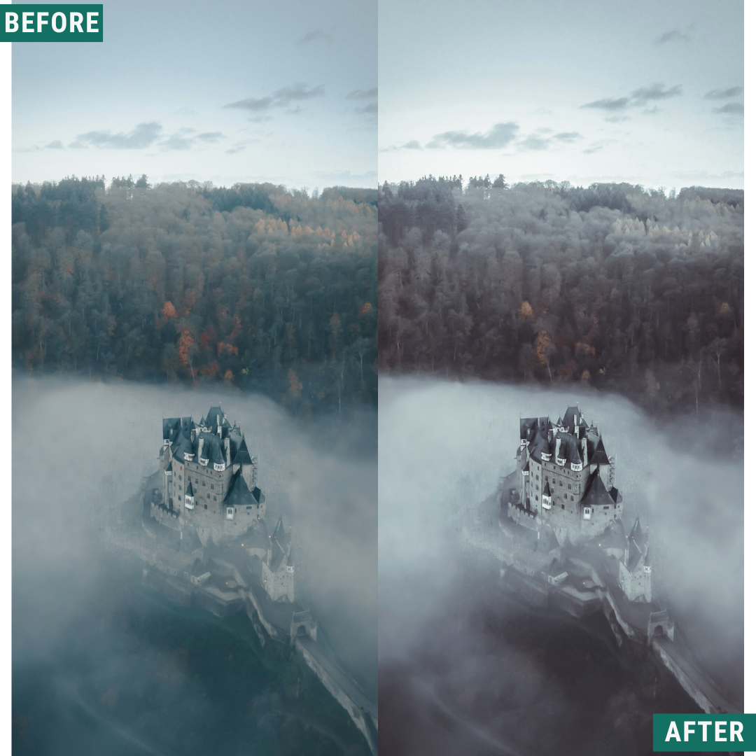Silver Tones Capture One & LUT Presets Pack