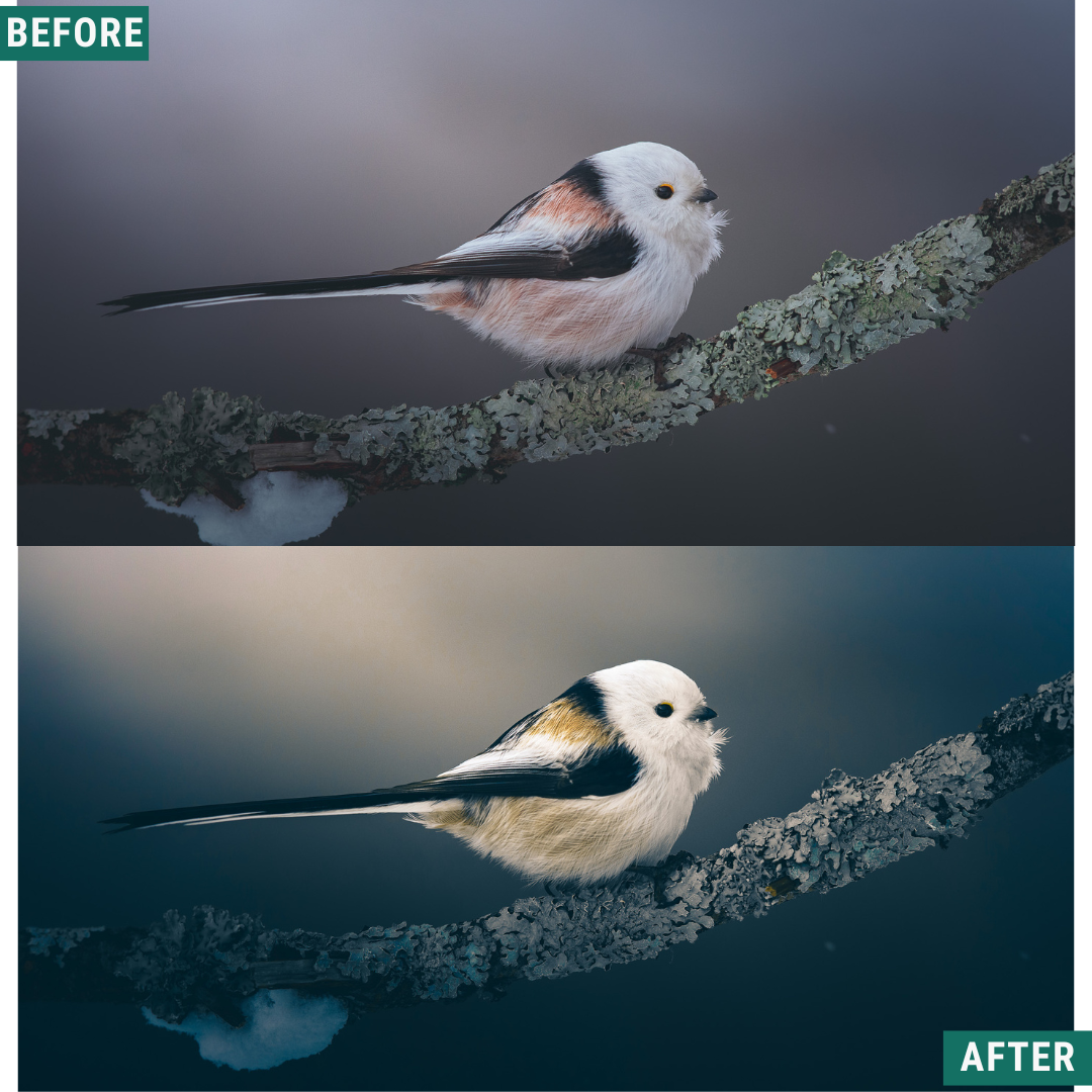Cream Teal Capture One & LUT Presets Pack