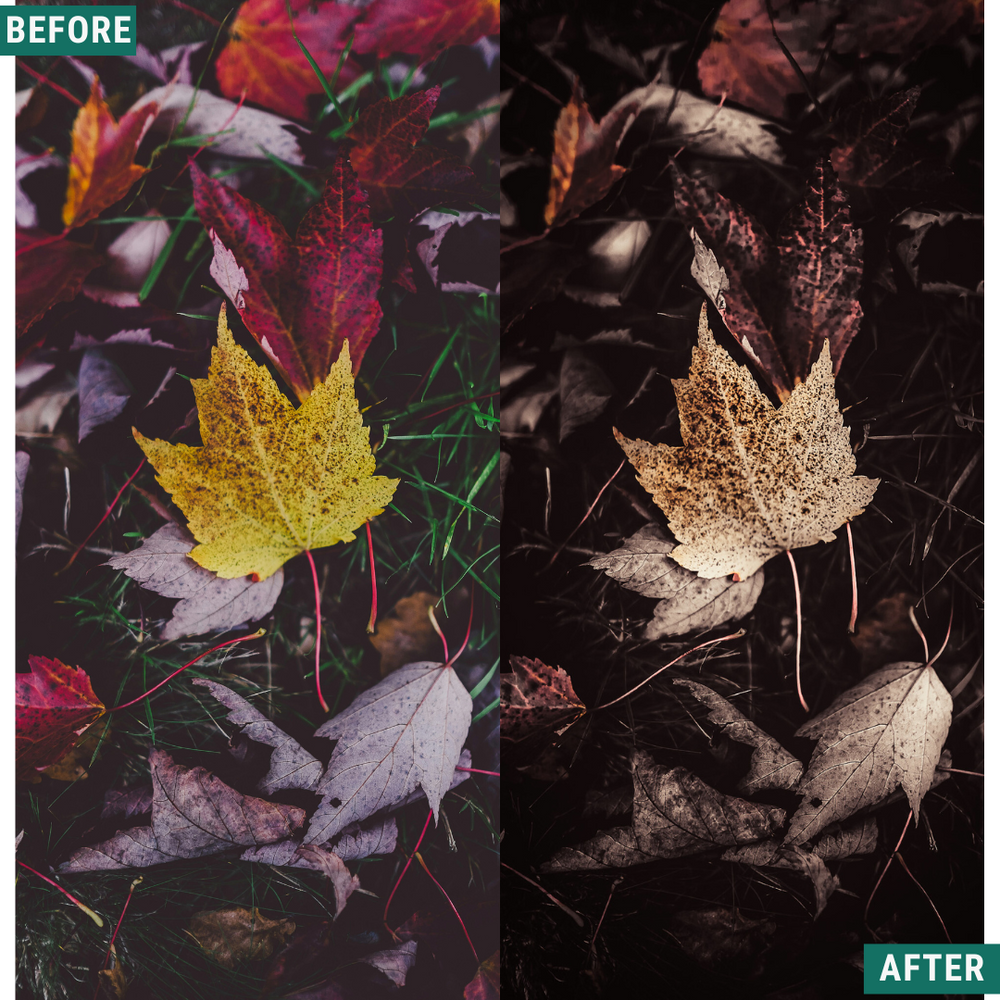 Mono Fall LIMITIERTES Lightroom-Presets-Paket