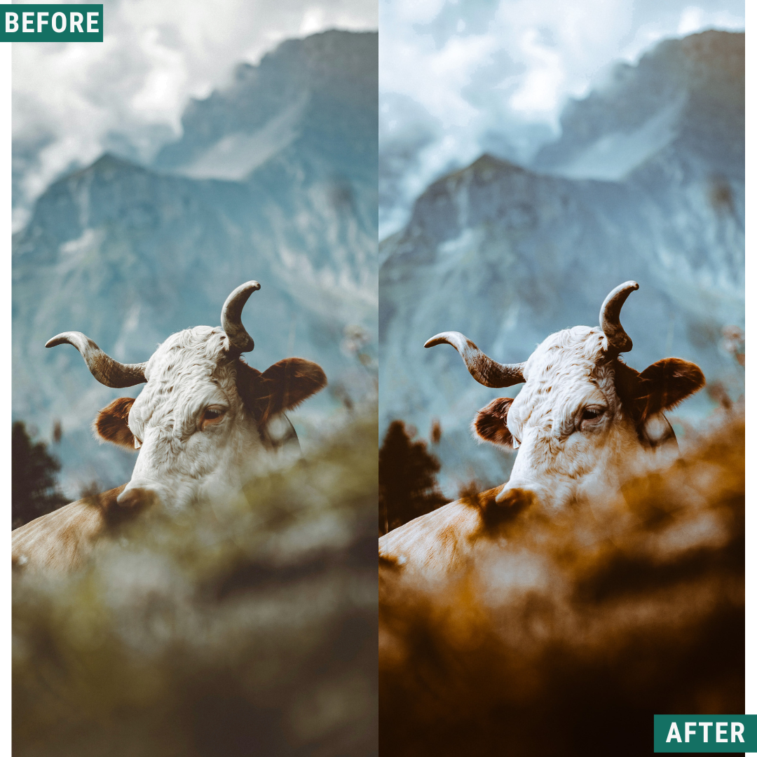 Rustic Land Lightroom Presets Pack