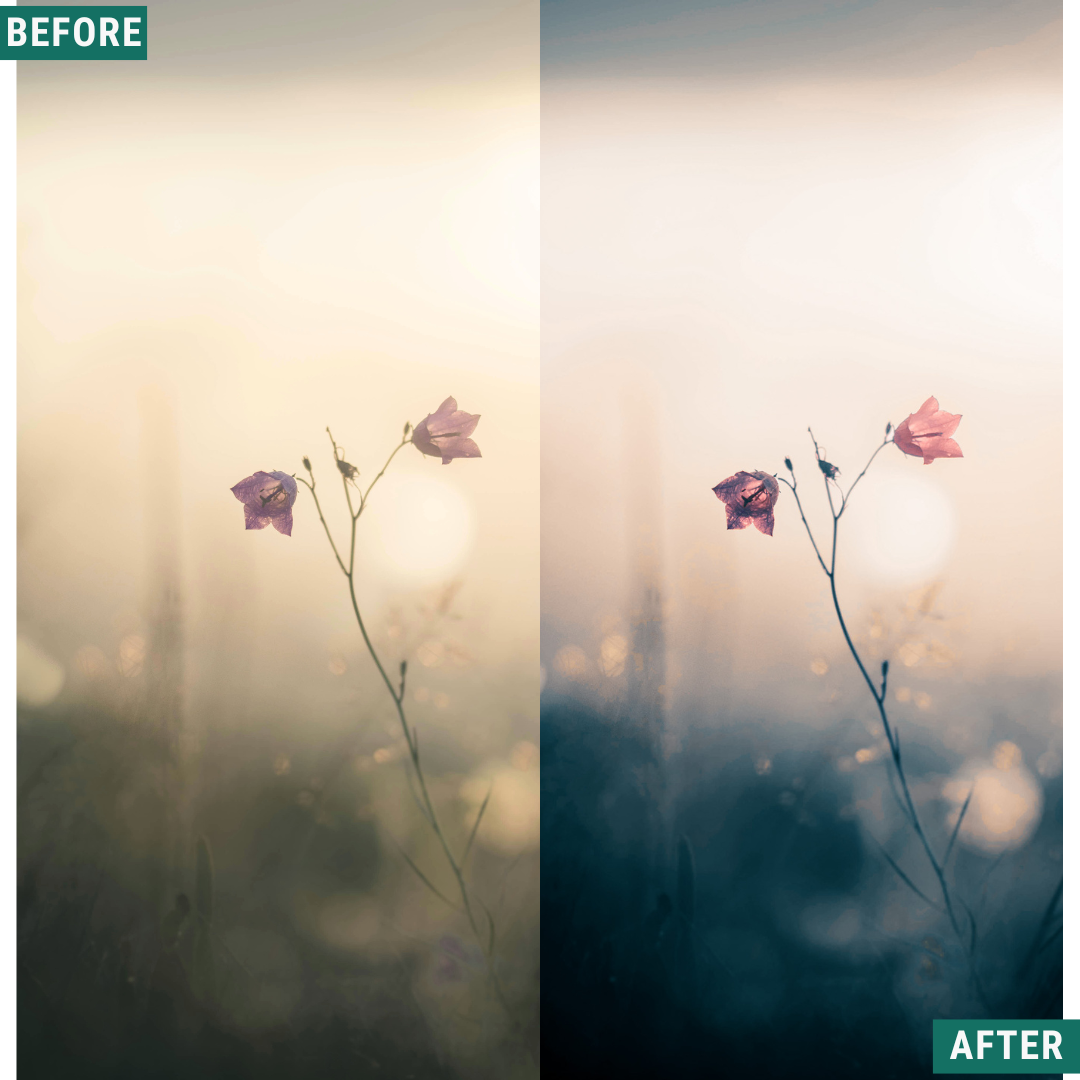 Cream Teal Capture One & LUT Presets Pack