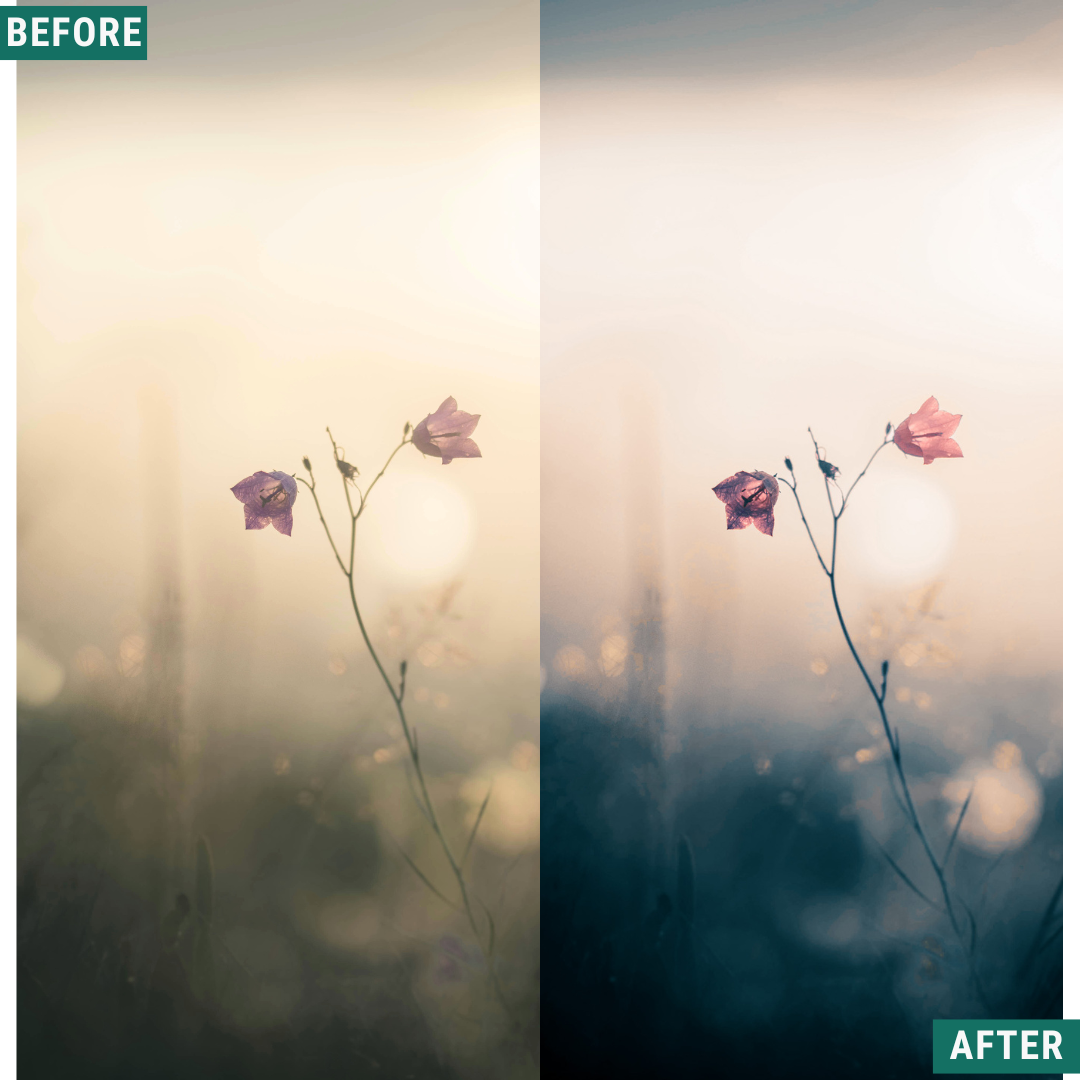 Cream Teal LIMITIERTES Lightroom-Presets-Paket