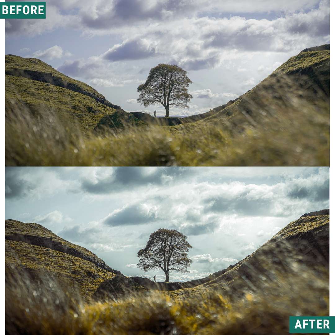 Silver Tones Capture One & LUT Presets Pack