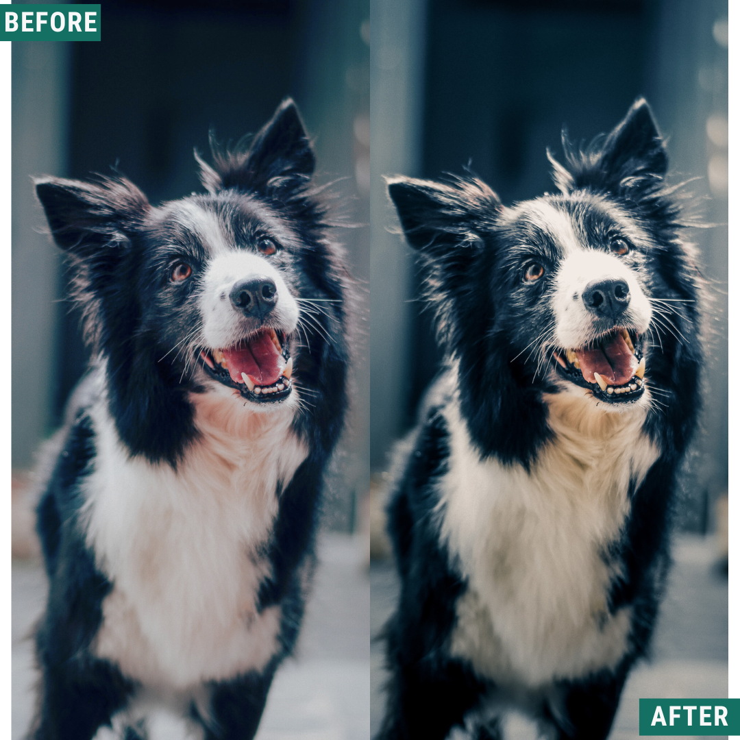 Cream Teal Capture One & LUT Presets Pack