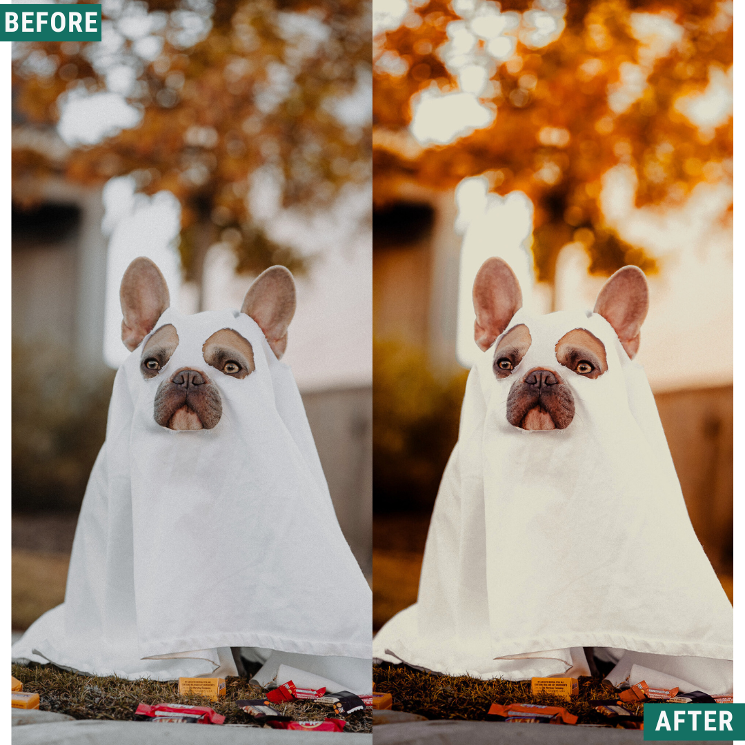 Spooky Orange Lightroom Presets Pack