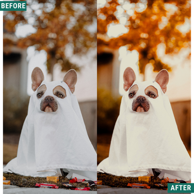 Spooky Orange LIMITED Lightroom Presets Pack