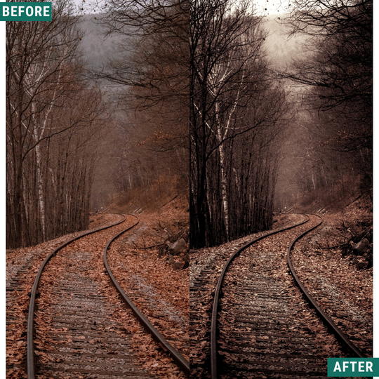 Mono Fall LIMITIERTES Lightroom-Presets-Paket