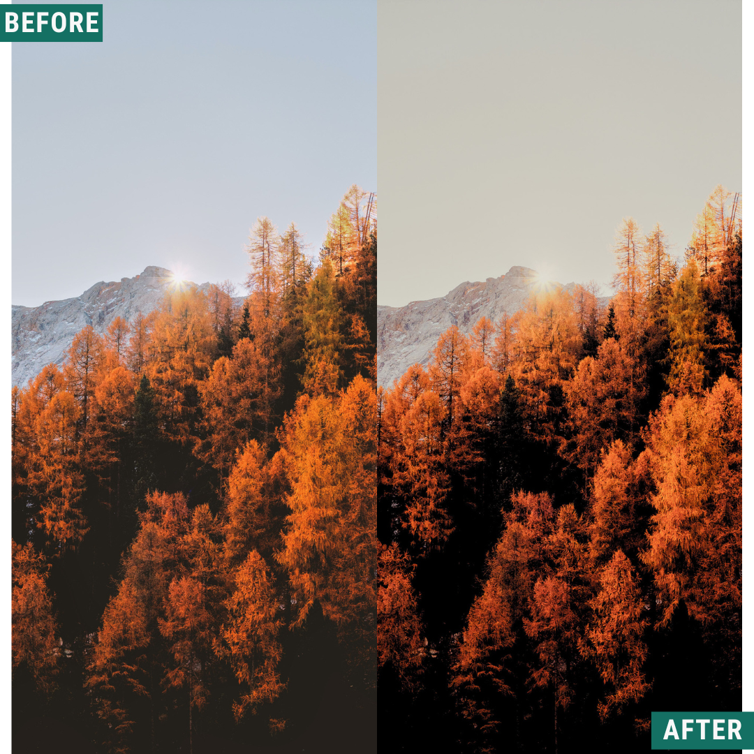 Spooky Orange Lightroom Presets Pack