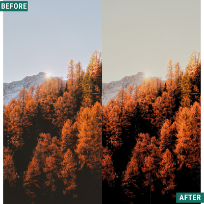 Spooky Orange LIMITED Lightroom Presets Pack