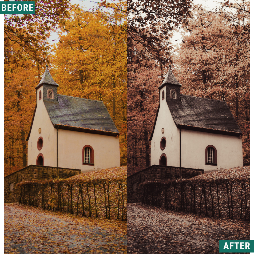 Mono Fall LIMITIERTES Lightroom-Presets-Paket