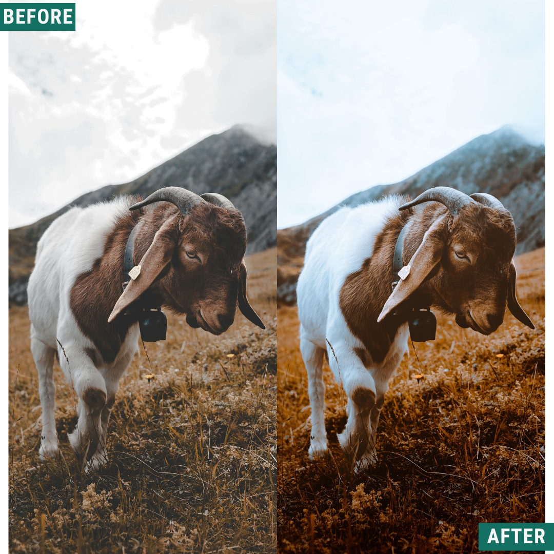 Rustic Land Lightroom-Presets-Paket