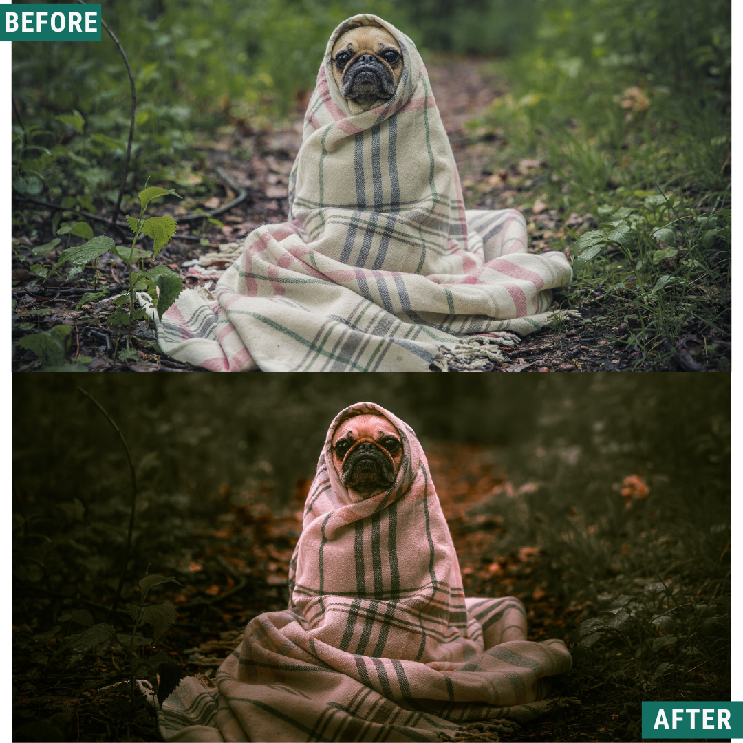 Spooky Woods LIMITIERTES Lightroom-Presets-Paket