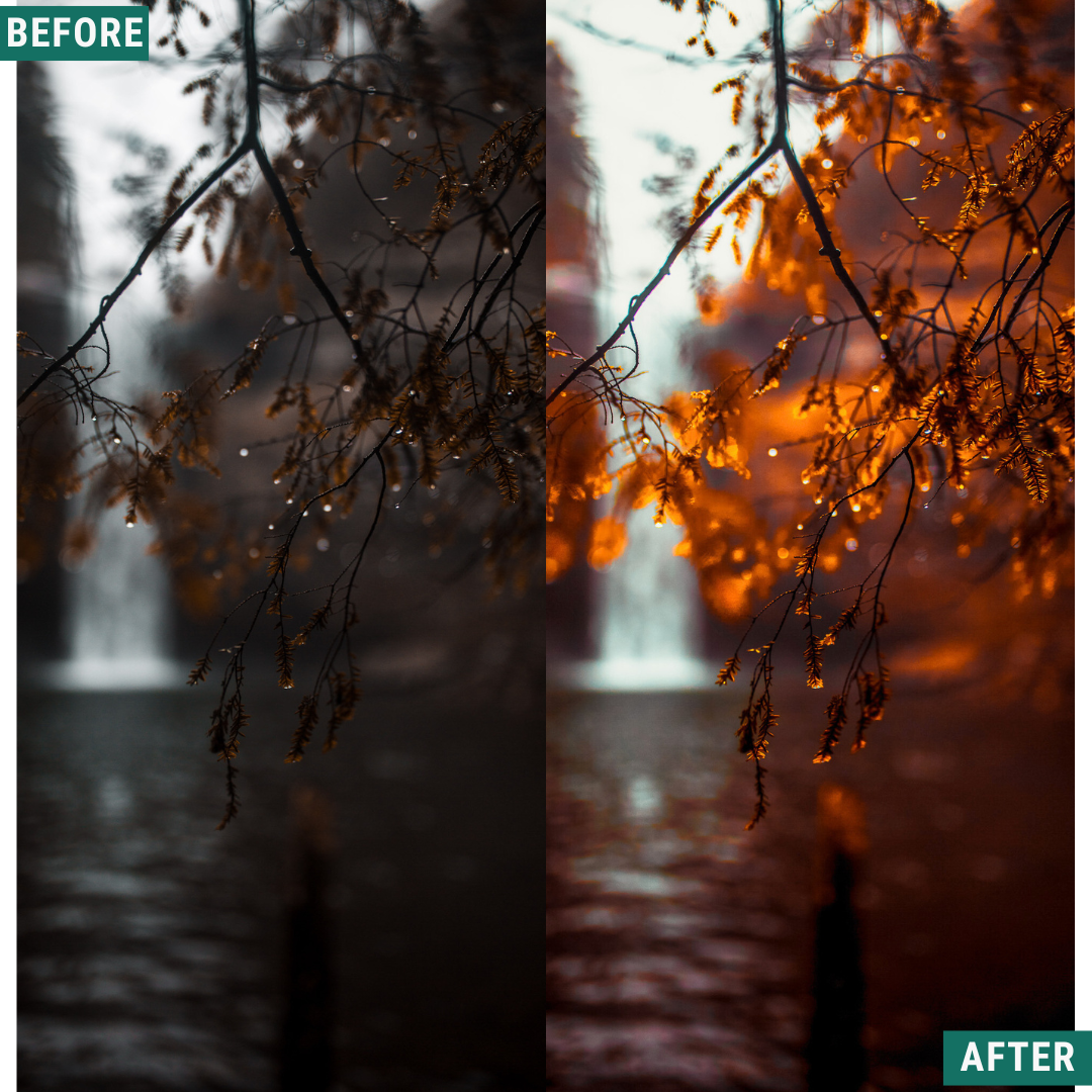 Spooky Orange Lightroom Presets Pack