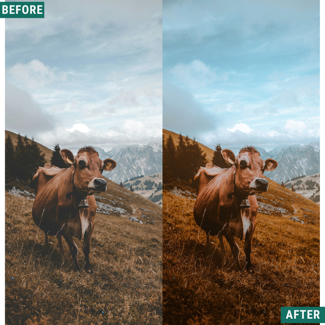 Rustic Land Lightroom Presets Pack