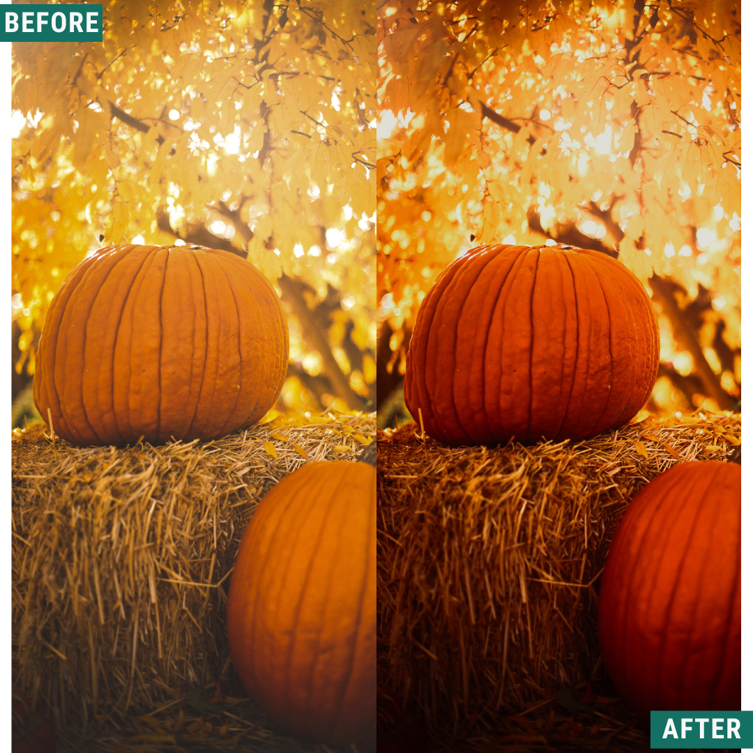 Spooky Orange Lightroom Presets Pack
