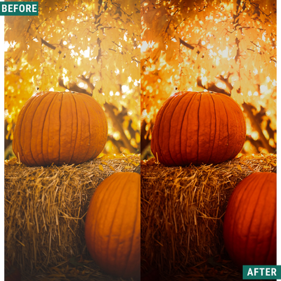 Spooky Orange LIMITIERTES Lightroom-Presets-Paket