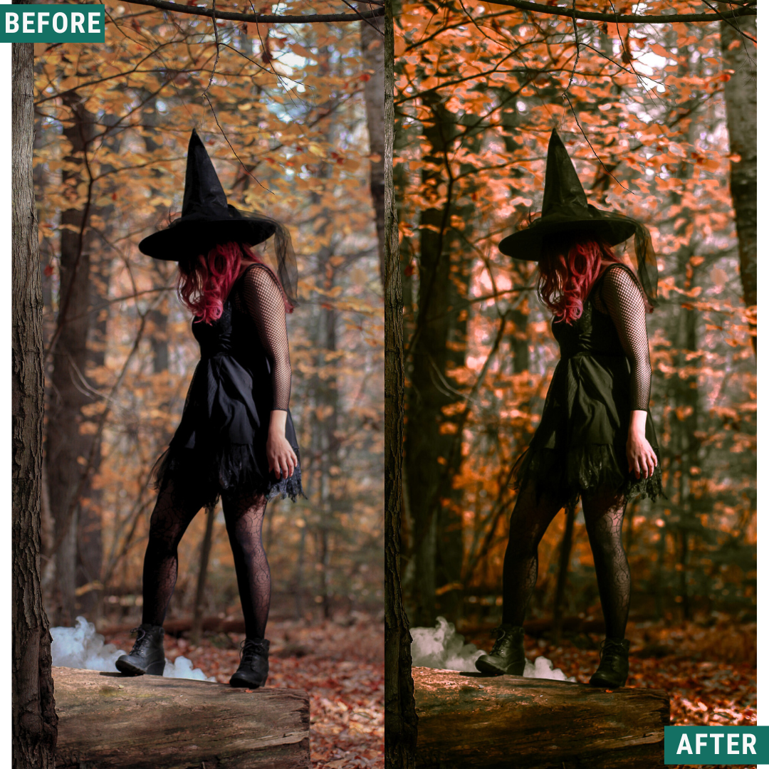 Spooky Woods LIMITIERTES Lightroom-Presets-Paket