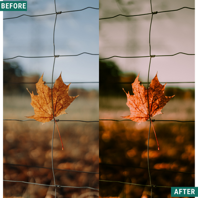 Spooky Woods LIMITED Lightroom Presets Pack