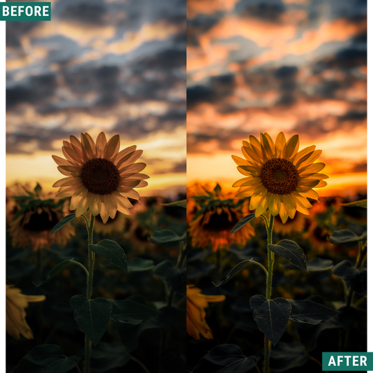 Dusk & Dawn Lightroom Presets Pack