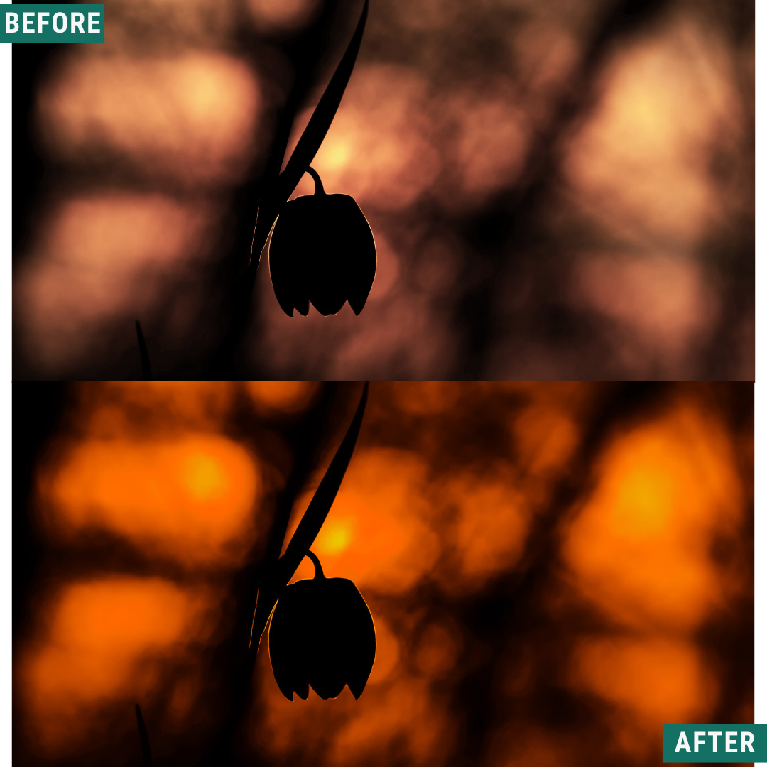 Spooky Orange Lightroom Presets Pack