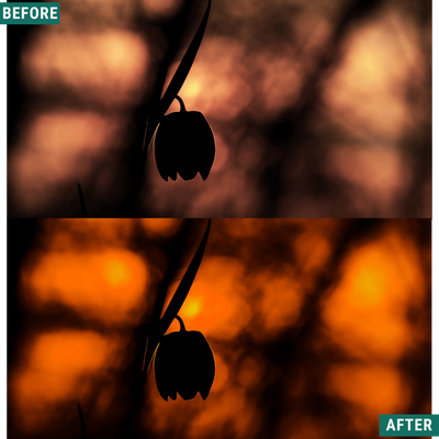 Spooky Orange LIMITED Lightroom Presets Pack