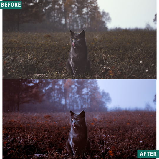 Spooky Cinema LIMITED Lightroom Presets Pack