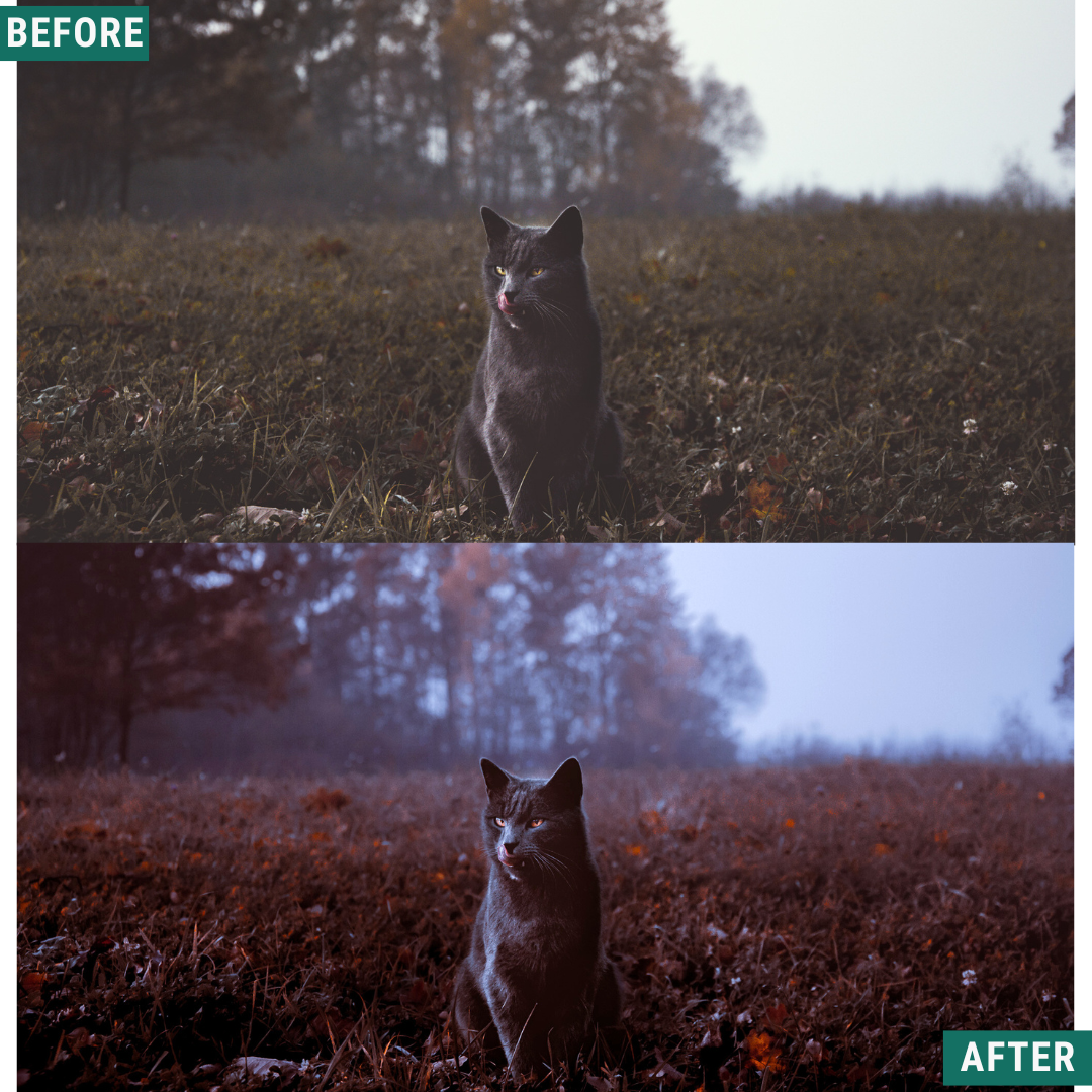 Spooky Cinema LIMITED Lightroom Presets Pack