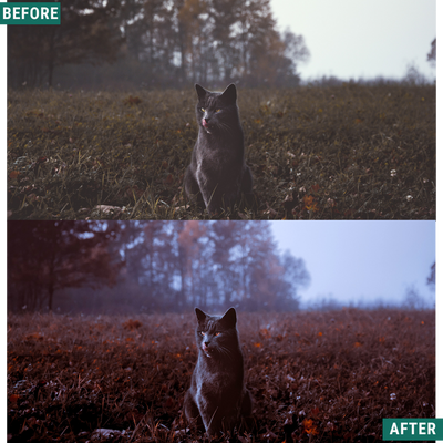 Spooky Cinema LIMITIERTES Lightroom-Presets-Paket