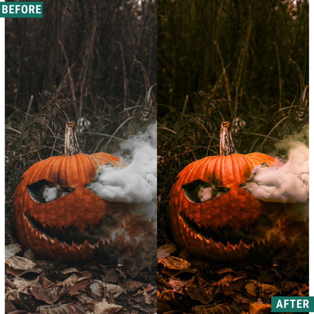 Spooky Woods LIMITED Lightroom Presets Pack