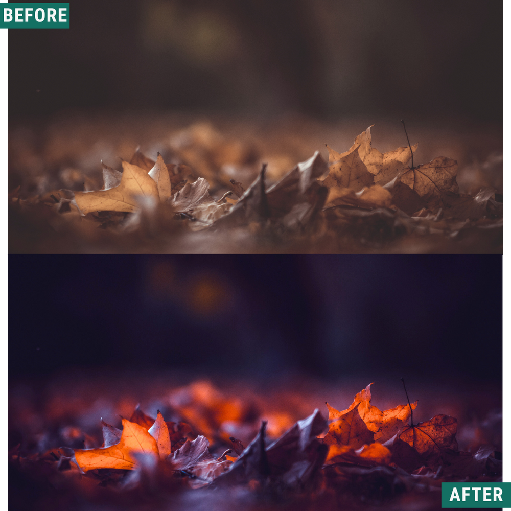 Spooky Cinema LIMITED Lightroom Presets Pack