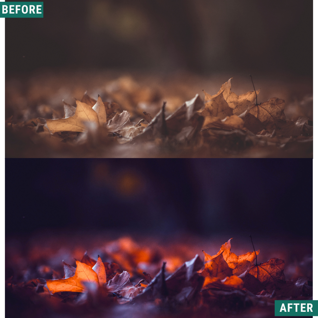 Spooky Cinema LIMITED Lightroom Presets Pack