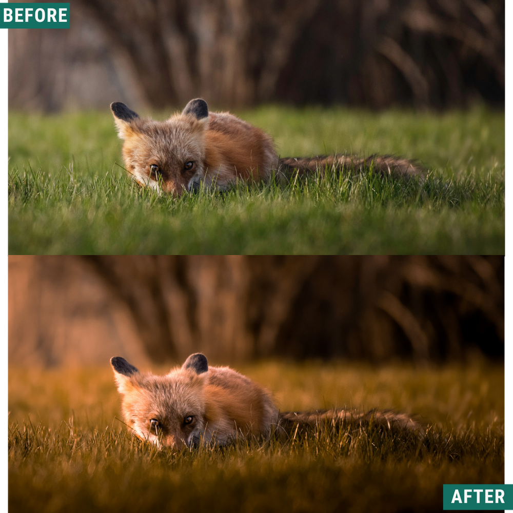 Dusk & Dawn Lightroom-Presets-Paket