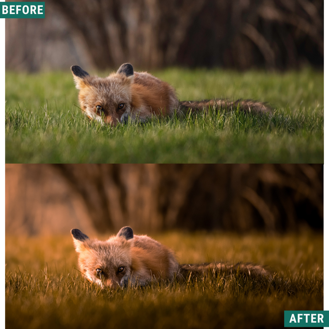 Dusk & Dawn Lightroom-Presets-Paket