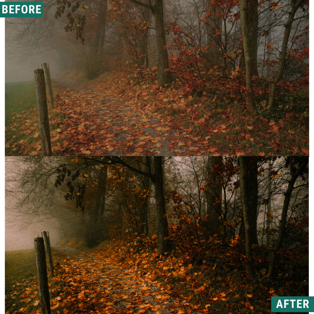 Spooky Woods LIMITED Lightroom Presets Pack