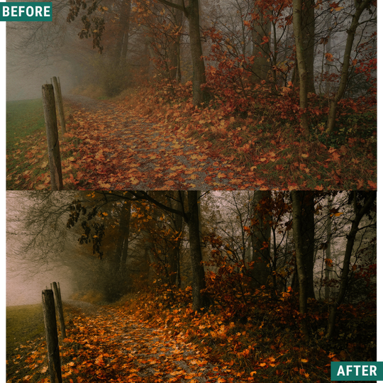 Spooky Woods LIMITED Lightroom Presets Pack