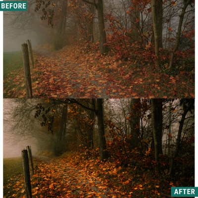 Spooky Woods LIMITED Lightroom Presets Pack