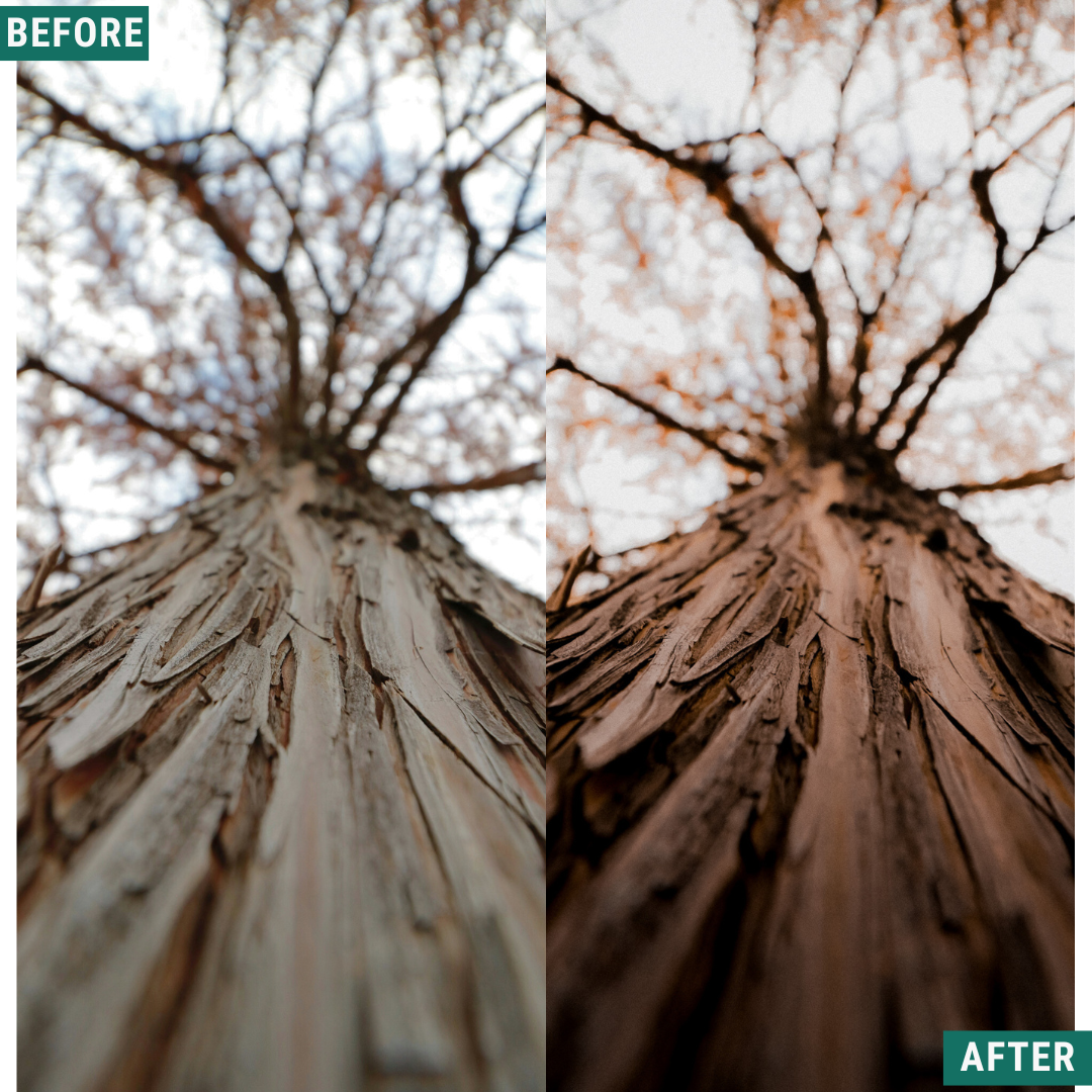 Rustic Wind Lightroom Presets Pack