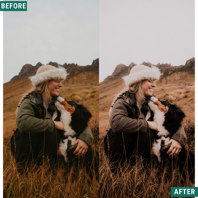 Dark Woods Lightroom-Presets-Paket