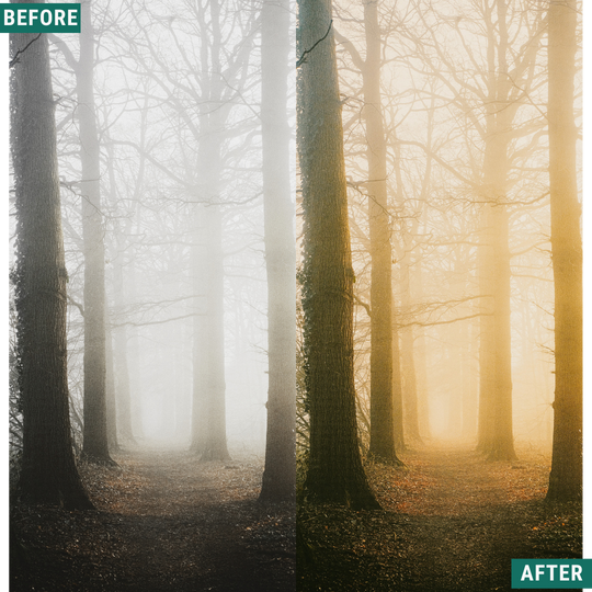 Soft Dawn LIMITED Lightroom Presets Pack