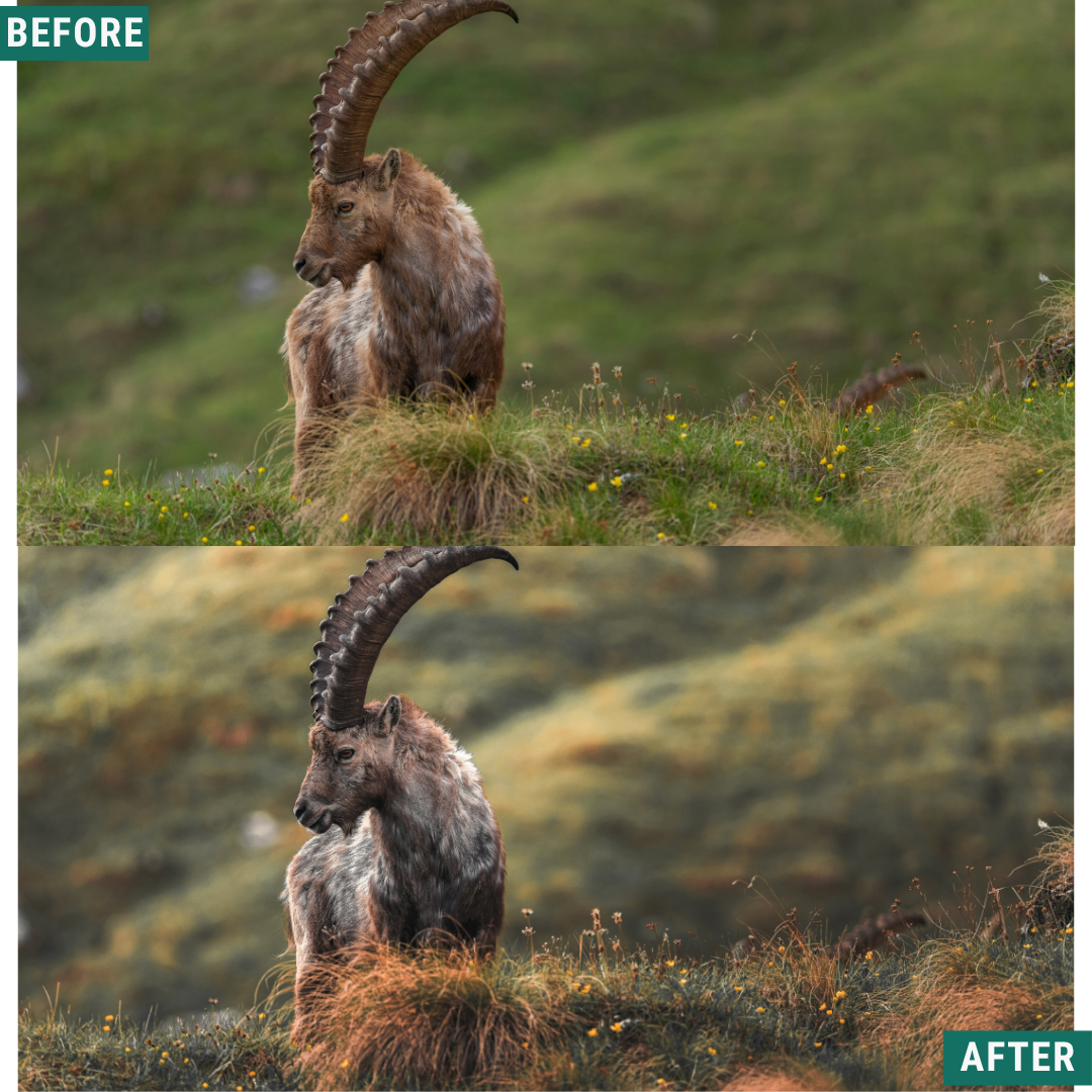 Gold Valley LIMITED Lightroom Presets Pack
