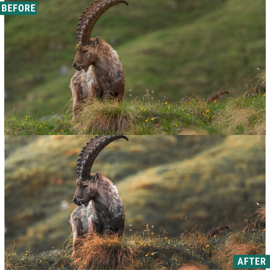 Gold Valley LIMITED Lightroom Presets Pack