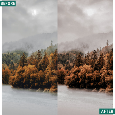 Dark Woods Lightroom-Presets-Paket