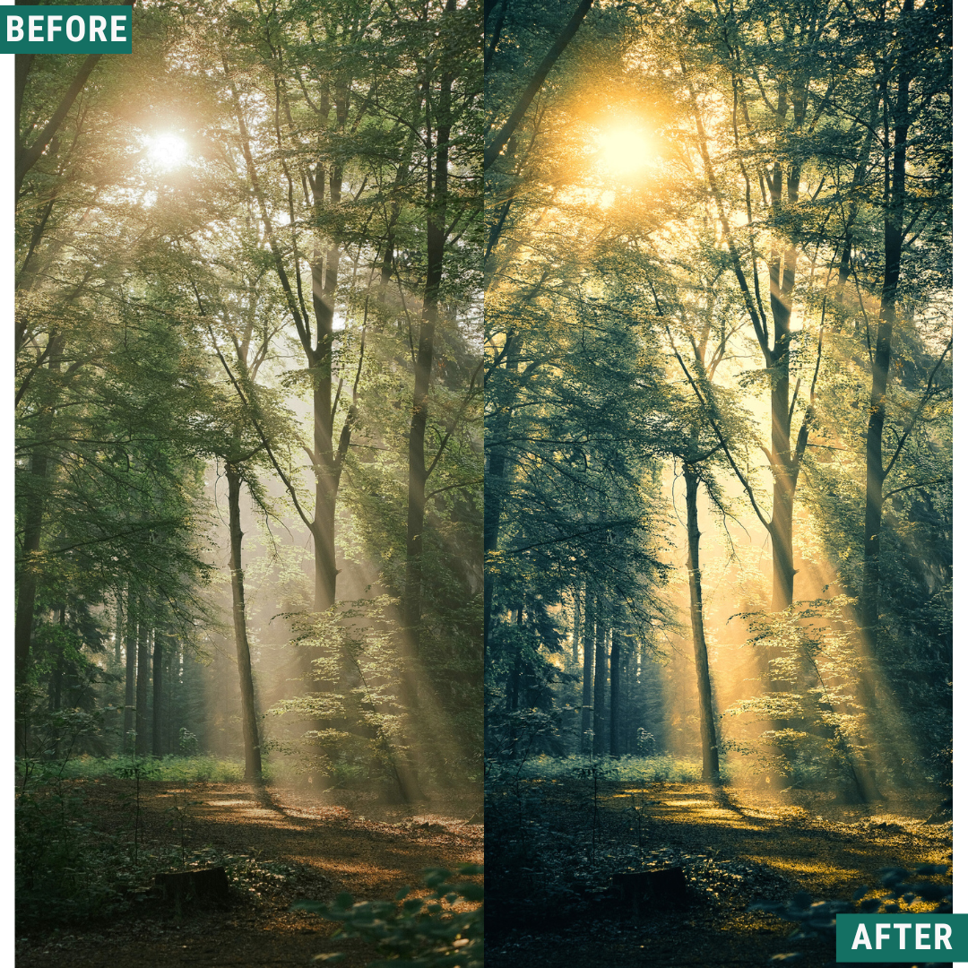 Dream Scape LIMITED Lightroom Presets Pack